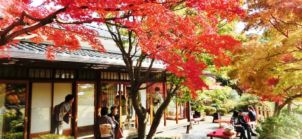 🌸 스마리큐 공원(스마리큐 코엔) 이미지 1